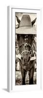 ¡Viva Mexico! Panoramic Collection - Horse with a straw Hat-Philippe Hugonnard-Framed Photographic Print