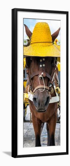 ¡Viva Mexico! Panoramic Collection - Horse with a straw Hat-Philippe Hugonnard-Framed Premium Photographic Print