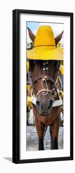 ¡Viva Mexico! Panoramic Collection - Horse with a straw Hat-Philippe Hugonnard-Framed Premium Photographic Print