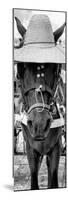 ¡Viva Mexico! Panoramic Collection - Horse with a straw Hat-Philippe Hugonnard-Mounted Photographic Print