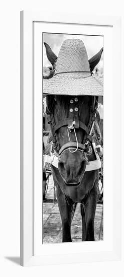 ¡Viva Mexico! Panoramic Collection - Horse with a straw Hat-Philippe Hugonnard-Framed Photographic Print