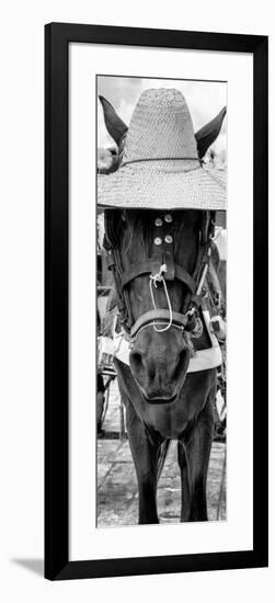 ¡Viva Mexico! Panoramic Collection - Horse with a straw Hat-Philippe Hugonnard-Framed Photographic Print