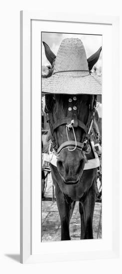 ¡Viva Mexico! Panoramic Collection - Horse with a straw Hat-Philippe Hugonnard-Framed Photographic Print