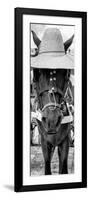 ¡Viva Mexico! Panoramic Collection - Horse with a straw Hat-Philippe Hugonnard-Framed Photographic Print