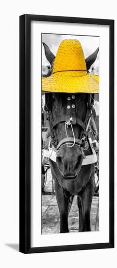 ¡Viva Mexico! Panoramic Collection - Horse with a Yellow straw Hat-Philippe Hugonnard-Framed Photographic Print