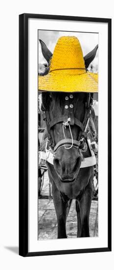 ¡Viva Mexico! Panoramic Collection - Horse with a Yellow straw Hat-Philippe Hugonnard-Framed Photographic Print