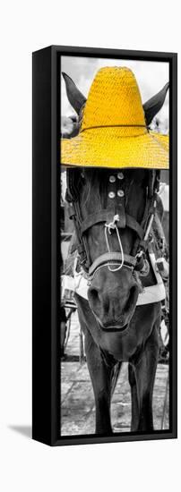 ¡Viva Mexico! Panoramic Collection - Horse with a Yellow straw Hat-Philippe Hugonnard-Framed Stretched Canvas