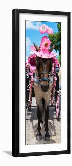 ¡Viva Mexico! Panoramic Collection - Horse with Pink Hat II-Philippe Hugonnard-Framed Photographic Print