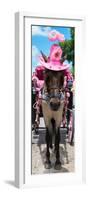 ¡Viva Mexico! Panoramic Collection - Horse with Pink Hat II-Philippe Hugonnard-Framed Photographic Print