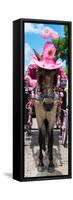 ¡Viva Mexico! Panoramic Collection - Horse with Pink Hat II-Philippe Hugonnard-Framed Stretched Canvas
