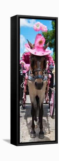 ¡Viva Mexico! Panoramic Collection - Horse with Pink Hat II-Philippe Hugonnard-Framed Stretched Canvas