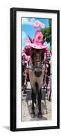 ¡Viva Mexico! Panoramic Collection - Horse with Pink Hat II-Philippe Hugonnard-Framed Premium Photographic Print