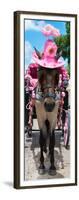 ¡Viva Mexico! Panoramic Collection - Horse with Pink Hat II-Philippe Hugonnard-Framed Photographic Print