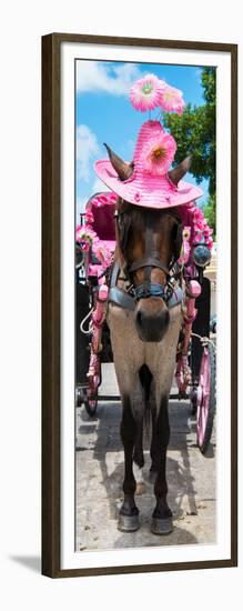 ¡Viva Mexico! Panoramic Collection - Horse with Pink Hat II-Philippe Hugonnard-Framed Photographic Print