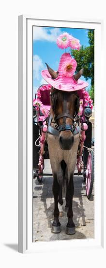 ¡Viva Mexico! Panoramic Collection - Horse with Pink Hat II-Philippe Hugonnard-Framed Photographic Print