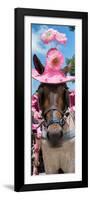 ¡Viva Mexico! Panoramic Collection - Horse with Pink Hat-Philippe Hugonnard-Framed Photographic Print