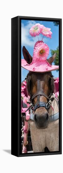 ¡Viva Mexico! Panoramic Collection - Horse with Pink Hat-Philippe Hugonnard-Framed Stretched Canvas