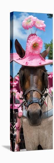 ¡Viva Mexico! Panoramic Collection - Horse with Pink Hat-Philippe Hugonnard-Stretched Canvas
