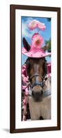 ¡Viva Mexico! Panoramic Collection - Horse with Pink Hat-Philippe Hugonnard-Framed Photographic Print