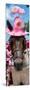 ¡Viva Mexico! Panoramic Collection - Horse with Pink Hat-Philippe Hugonnard-Mounted Photographic Print