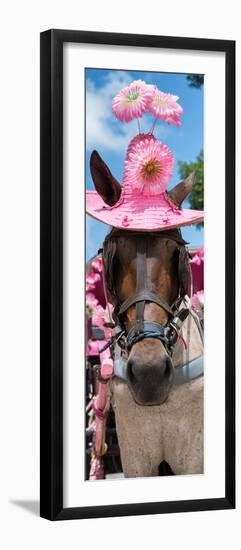 ¡Viva Mexico! Panoramic Collection - Horse with Pink Hat-Philippe Hugonnard-Framed Premium Photographic Print