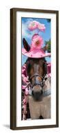 ¡Viva Mexico! Panoramic Collection - Horse with Pink Hat-Philippe Hugonnard-Framed Photographic Print