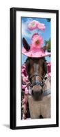 ¡Viva Mexico! Panoramic Collection - Horse with Pink Hat-Philippe Hugonnard-Framed Photographic Print