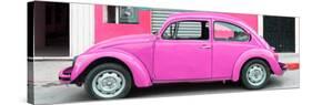 ¡Viva Mexico! Panoramic Collection - Hot Pink VW Beetle Car-Philippe Hugonnard-Stretched Canvas