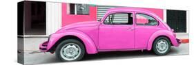 ¡Viva Mexico! Panoramic Collection - Hot Pink VW Beetle Car-Philippe Hugonnard-Stretched Canvas