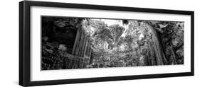 ¡Viva Mexico! Panoramic Collection - Ik-Kil Cenote II-Philippe Hugonnard-Framed Photographic Print
