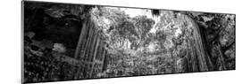 ¡Viva Mexico! Panoramic Collection - Ik-Kil Cenote II-Philippe Hugonnard-Mounted Photographic Print