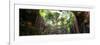 ¡Viva Mexico! Panoramic Collection - Ik-Kil Cenote-Philippe Hugonnard-Framed Photographic Print