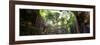 ¡Viva Mexico! Panoramic Collection - Ik-Kil Cenote-Philippe Hugonnard-Framed Photographic Print