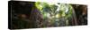 ¡Viva Mexico! Panoramic Collection - Ik-Kil Cenote-Philippe Hugonnard-Stretched Canvas