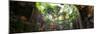 ¡Viva Mexico! Panoramic Collection - Ik-Kil Cenote-Philippe Hugonnard-Mounted Photographic Print