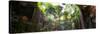 ¡Viva Mexico! Panoramic Collection - Ik-Kil Cenote-Philippe Hugonnard-Stretched Canvas