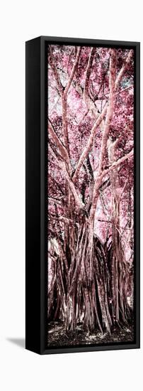 ¡Viva Mexico! Panoramic Collection - Jungle Trees II-Philippe Hugonnard-Framed Stretched Canvas