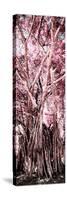 ¡Viva Mexico! Panoramic Collection - Jungle Trees II-Philippe Hugonnard-Stretched Canvas