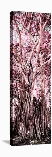 ¡Viva Mexico! Panoramic Collection - Jungle Trees II-Philippe Hugonnard-Stretched Canvas