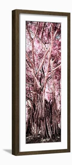 ¡Viva Mexico! Panoramic Collection - Jungle Trees II-Philippe Hugonnard-Framed Photographic Print