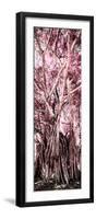 ¡Viva Mexico! Panoramic Collection - Jungle Trees II-Philippe Hugonnard-Framed Photographic Print