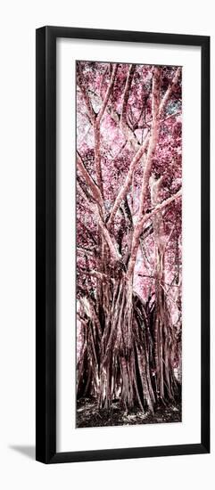 ¡Viva Mexico! Panoramic Collection - Jungle Trees II-Philippe Hugonnard-Framed Photographic Print