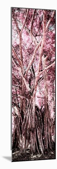 ¡Viva Mexico! Panoramic Collection - Jungle Trees II-Philippe Hugonnard-Mounted Photographic Print