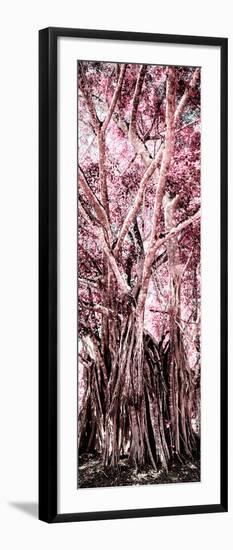 ¡Viva Mexico! Panoramic Collection - Jungle Trees II-Philippe Hugonnard-Framed Photographic Print