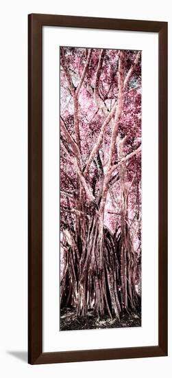 ¡Viva Mexico! Panoramic Collection - Jungle Trees II-Philippe Hugonnard-Framed Photographic Print