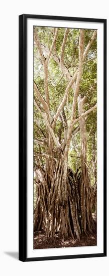 ¡Viva Mexico! Panoramic Collection - Jungle Trees III-Philippe Hugonnard-Framed Photographic Print