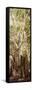 ¡Viva Mexico! Panoramic Collection - Jungle Trees III-Philippe Hugonnard-Framed Stretched Canvas