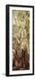 ¡Viva Mexico! Panoramic Collection - Jungle Trees III-Philippe Hugonnard-Framed Premium Photographic Print