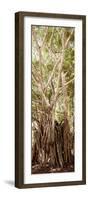 ¡Viva Mexico! Panoramic Collection - Jungle Trees III-Philippe Hugonnard-Framed Photographic Print