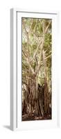 ¡Viva Mexico! Panoramic Collection - Jungle Trees III-Philippe Hugonnard-Framed Photographic Print